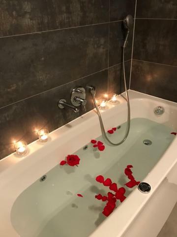 Apartment Lungomare Pula Zewnętrze zdjęcie